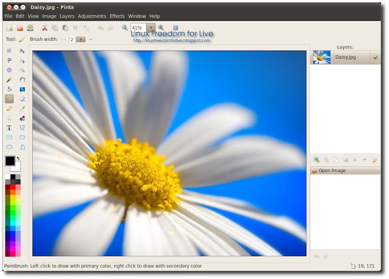 Pinta Paint.net per Linux 0.3 - Linux Freedom